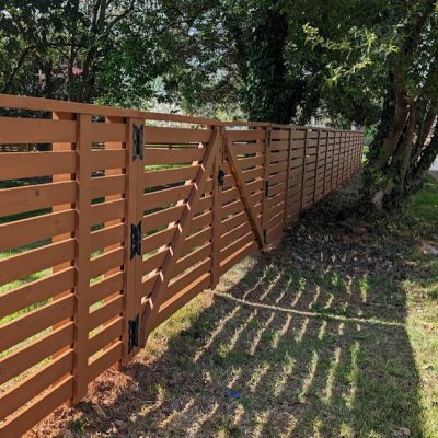 WhatsApp Image 2026-01-01 at 7.40.52 AM